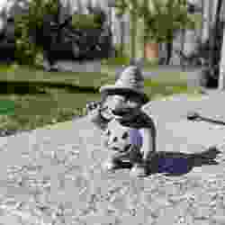 Pumpkin Wizard Turtle