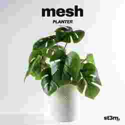 mesh ⬝ PLANTER