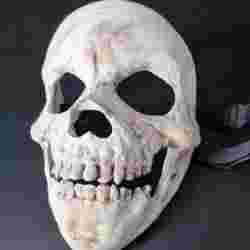 Skull mask with magnetic jaw