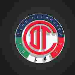 Toluca Logo Shield