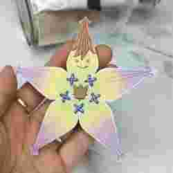 evergreen set that Kairi gives to Sora in Kingdom Hearts. necklace/pendant in the shape of Paopu's talisman star.