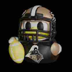 Purdue Boilermakers
