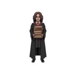 Hermione Granger – Hogwarts Student with Books – 3D Print Model