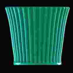 🧉 Mate Leon Graduate 🦁