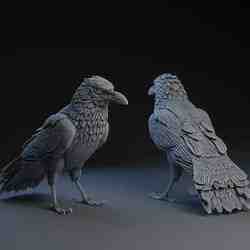 Preening (Puffing) Raven 3D Model (3D printable STL file)