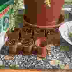 Mini square and round flower pots with seed germination plate