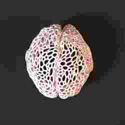 Brain Voronoi