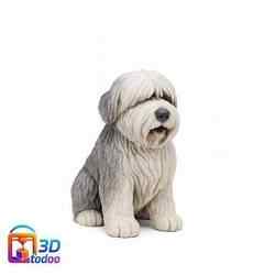 English Shepherd Dog Old English Sheepdog
