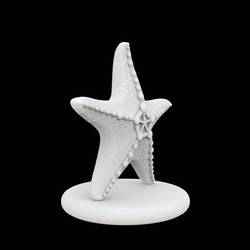Starfish Sculpture 3D Printable Model