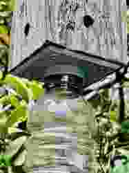 Carpenter Bee Trap Bottle Holder