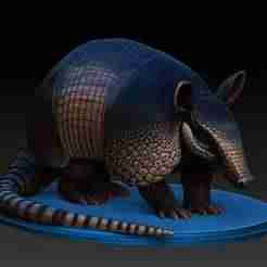 ANIMAL ARMADILLO V1