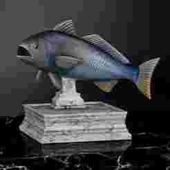 CORVINA / CILUS GILBERTI fish trophy with storage space for 3d printing