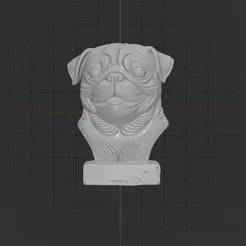 Cute Pug Bust