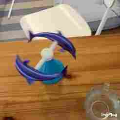 Dancing Dolphins Carousel