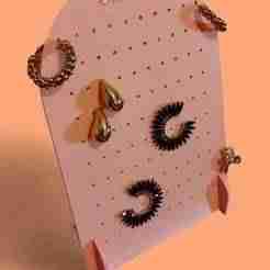 Earring Organizer