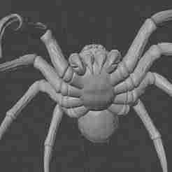 Giant Fantasy Spider - 3D Monster Model!