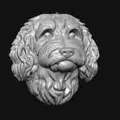Golden doodles face 3d sculpture