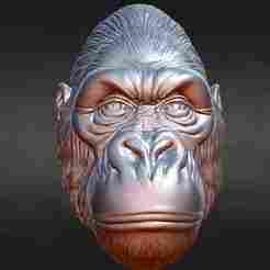 Gorilla Silverback Head