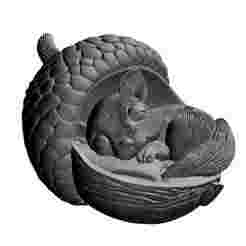 H91 sleeping squirrel