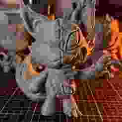 Halloween_Friends (Fox)