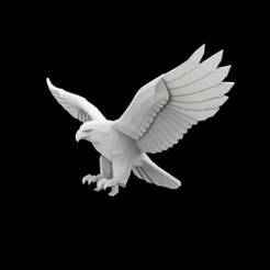 Hawk Eagle 3D Print Model
