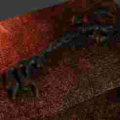 Hell Key- Sandman Series Season 2