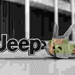 JEEP KEYCHAIN