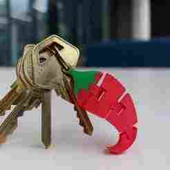 keychain in the shape of a chili pepper!