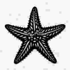 Ocean Starfish Sea Star Wall Art Home Decor