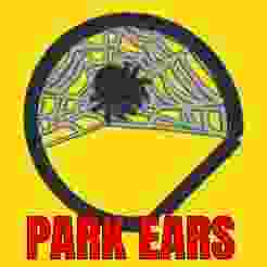 Park Ear Spider and Web
