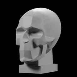 Planar Skull