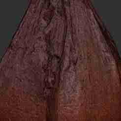 Plant seed specimens