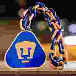 PUMAS MEXICO CHAIN
