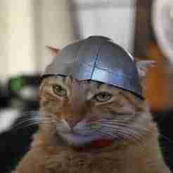 S-Rank Monster no "Behemoth" - CAT HELMET