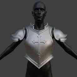 Templar Armor & Pauldrons