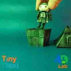 Tiny Flexi - Wednesday set!