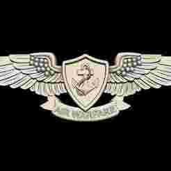 US Air Warfare Specialist Insignia 3D STL for CNC