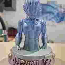 Vegeta SSJ Blue Buste Dragon Ball Z/Super