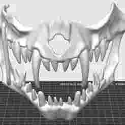 Wolf Skull Mask with Fangs