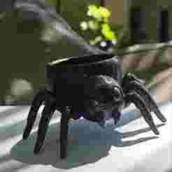 Spider Planter/Pot