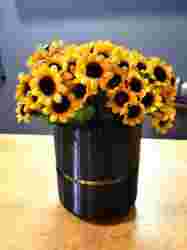 Kendinden sulamalı saksı