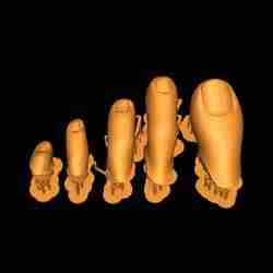 Timsah ayak parmakları