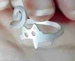 Kedi yavrusu yüzüğü, bir predecessor小猫 parodisi戒指，对前辈拙劣的模仿