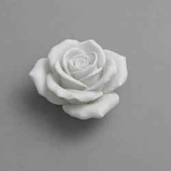 Rose Modell