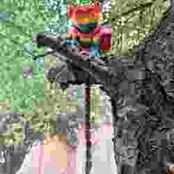 Tarsier maymunları (eklemli, sevimli)