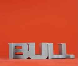 Text Flip - Bull