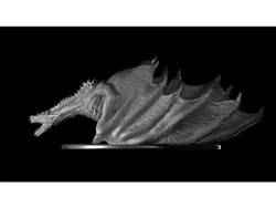 Gold Cuban Link Ring