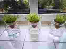 Matka pro nejlepÅ¡Ã­ matku ke dni matek. (DÃ¡rek ke dni matek)