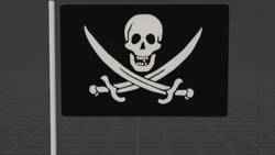 3D Animated Pirate Flag
