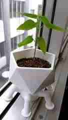 Tobacco Mosaic Virus Keychain